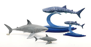 Painting Ocean Sharks - Sophia Stewart
